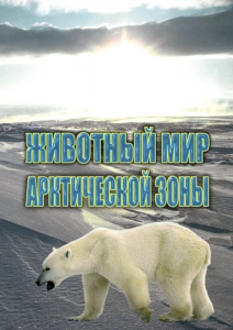 DVD "Животный мир Арктической зоны" - fgospostavki.ru - Муравленко