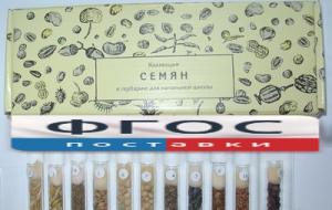 Коллекция "Семена к гербарию для начальной школы" (11 видов) - fgospostavki.ru - Муравленко
