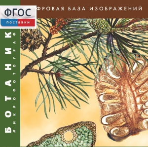 Ботаника. Микрофотографии. (Цифровая база изображений) - fgospostavki.ru - Муравленко