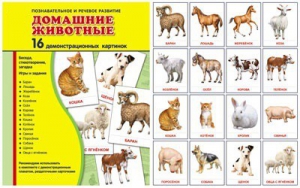 Демонстрационные карточки "Домашние животные" - fgospostavki.ru - Муравленко