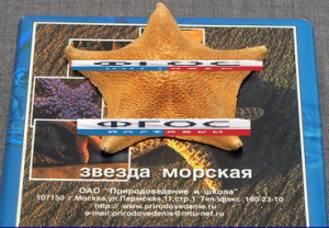 Сухой препарат "Звезда морская" - fgospostavki.ru - Муравленко