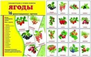 Демонстрационные карточки "Ягоды" - fgospostavki.ru - Муравленко