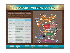 Интерактивный электрифицированный стенд "Эволюция животного мира" - fgospostavki.ru - Муравленко