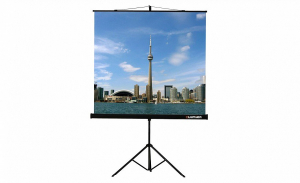 Проекционный экран на штативе Lumien Eco View (LEV-100105) 160x160 см - fgospostavki.ru - Муравленко