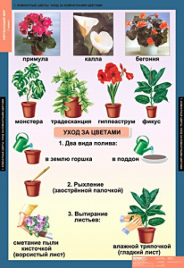 Комплект таблиц. Окружающий мир 1 класс. - fgospostavki.ru - Муравленко