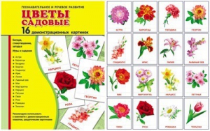 Демонстрационные карточки "Цветы садовые" - fgospostavki.ru - Муравленко
