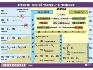 Таблица демонстрационная "Сравнение понятий изомер и гомолог" (винил 100x140) - fgospostavki.ru - Муравленко