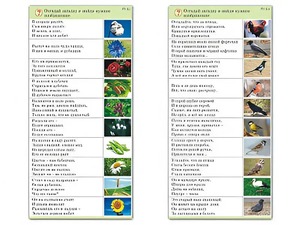 Комплект карточек (10) "Обучающий калейдоскоп. Природа" - fgospostavki.ru - Муравленко