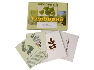 Гербарий "Деревья и кустарники" (22 вида, с иллюстрациями) - fgospostavki.ru - Муравленко