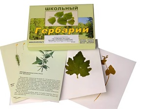 Гербарий "Систематика растений. Высшие споровые и семенные" (раздаточный) - fgospostavki.ru - Муравленко