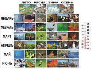 Фенологические наблюдения - fgospostavki.ru - Муравленко