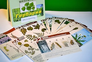 Гербарий к курсу основ общей биологии - fgospostavki.ru - Муравленко
