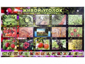 Комплект оборудования "Живой уголок" (растения) с тифлопереводом и сурдокомментариями - fgospostavki.ru - Муравленко