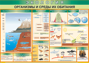 Таблица "Организмы и среды их обитания" (100х140 сантиметров, винил) - fgospostavki.ru - Муравленко