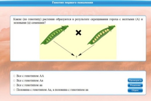 Интерактивные курсы. Биология 11 класс. Базовый. - fgospostavki.ru - Муравленко