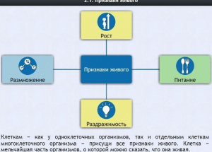 Интерактивные курсы. Биология 5 класс. Базовый - fgospostavki.ru - Муравленко