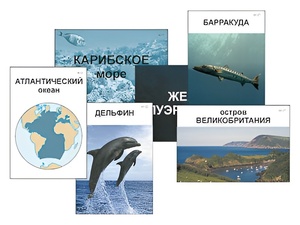 Модель-аппликация "Океаны. Знакомство" (ламинированная) - fgospostavki.ru - Муравленко