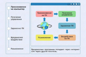 Интерактивные курсы. Информатика 10 класс . Базовый. - fgospostavki.ru - Муравленко