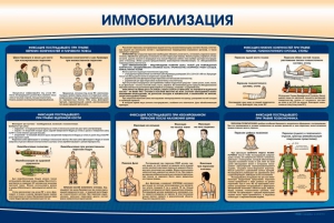 Стенд "Иммобилизация" - fgospostavki.ru - Муравленко