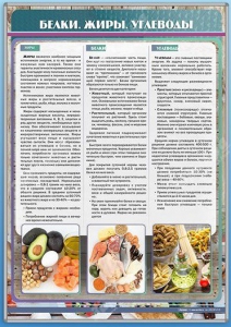 Стенд "Белки. Жиры. Углеводы" - fgospostavki.ru - Муравленко