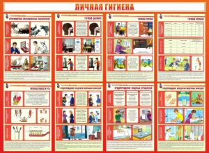Стенд "Личная гигиена" - fgospostavki.ru - Муравленко