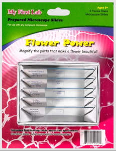 Набор микропрепаратов для микроскопа №6 «Цветы» - fgospostavki.ru - Муравленко