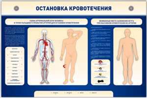Электрифицированный стенд-тренажер "Остановка кровотечения" - fgospostavki.ru - Муравленко