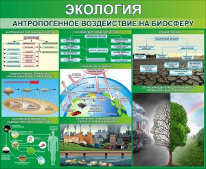 Стенд "Экология. Антропогенное воздействие на биосферу" - fgospostavki.ru - Муравленко