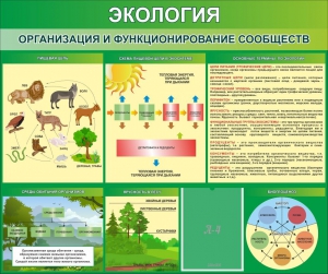 Стенд "Экология. Организация и функционирование сообществ" - fgospostavki.ru - Муравленко