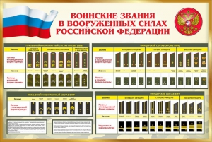 Стенд "Воинские звания в вооруженных силах РФ" - fgospostavki.ru - Муравленко