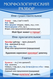 Стенд "Морфологический разбор" - fgospostavki.ru - Муравленко