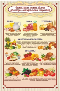 Стенд "Витамины, жиры, белки" - fgospostavki.ru - Муравленко