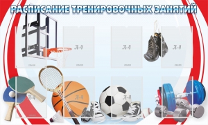 Стенд "Расписание тренировочных занятий" - fgospostavki.ru - Муравленко