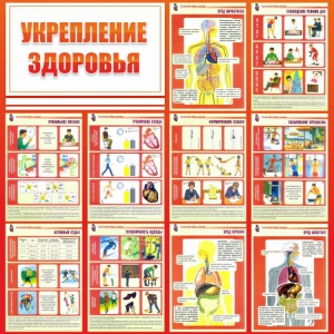 Стенд "Укрепление здоровья" - fgospostavki.ru - Муравленко