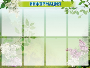 Стенд "Информация" Вариант 13 - fgospostavki.ru - Муравленко