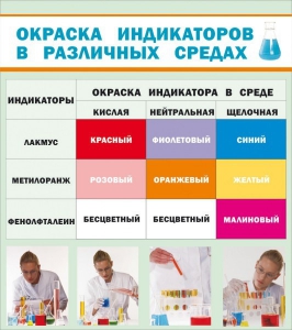 Стенд "Окраска индикаторов в различных средах" - fgospostavki.ru - Муравленко