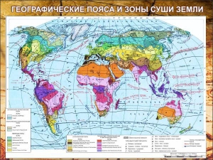 Стенд "Климатическая карта мира" - fgospostavki.ru - Муравленко