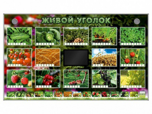 Комплект оборудования "Живой уголок" (растения) - fgospostavki.ru - Муравленко