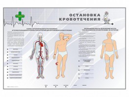 Электрифицированный стенд "Остановка кровотечения" - fgospostavki.ru - Муравленко
