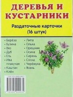 Раздаточные карточки "Деревья и кустарники" - fgospostavki.ru - Муравленко