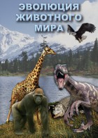 DVD "Эволюция животного мира" - fgospostavki.ru - Муравленко