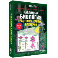 Наглядная биология. 6 класс. Растения. Грибы. Бактерии - fgospostavki.ru - Муравленко