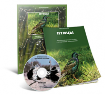 Электронное наглядное пособие «Птицы» - fgospostavki.ru - Муравленко