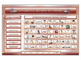 Трехсекционный базовый комплект "Травмы. Кровотечения. Ожоги" для учащихся общеобразовательных учреждений - fgospostavki.ru - Муравленко