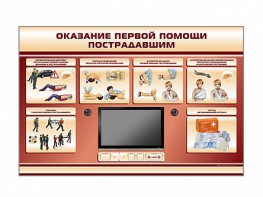 Многофункциональный интерактивный стенд-тренажер "Оказание первой помощи пострадавшим" для учащихся общеобразовательных учреждений - fgospostavki.ru - Муравленко