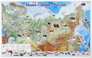 Магнитные карточки "Животные" - fgospostavki.ru - Муравленко