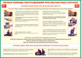 Таблица "Порядок действий при внезапной смерти" (100х140 сантиметров, винил) - fgospostavki.ru - Муравленко