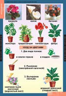 Комплект таблиц. Окружающий мир 1 класс. - fgospostavki.ru - Муравленко