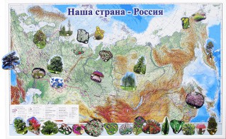 Магнитные карточки "Растения" - fgospostavki.ru - Муравленко