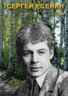 DVD "Сергей Есенин" - fgospostavki.ru - Муравленко